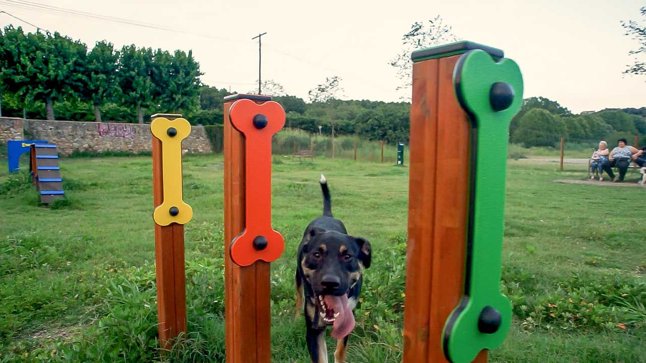 Circuit Agility a Bescanó