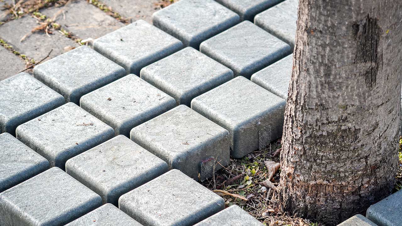 FAQs: Com adaptar l' Escocell WAY al teu projecte en minuts?